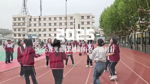 2025年度总结视频